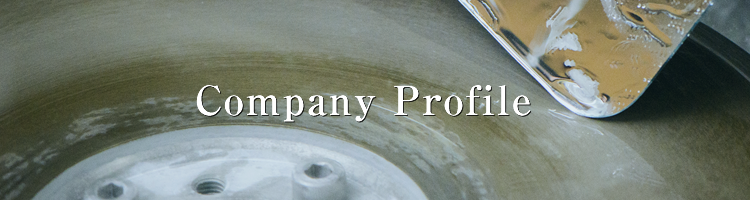company profile